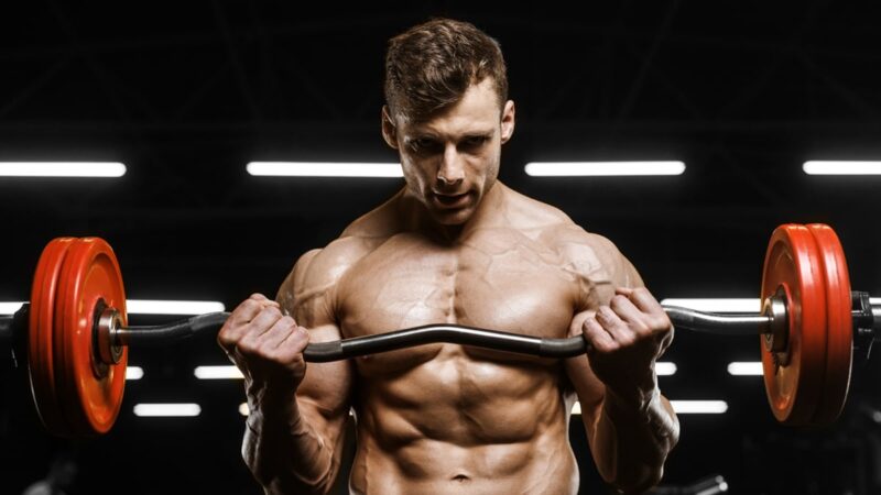 isolation exercises